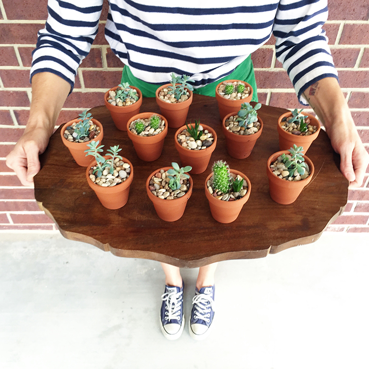 Succulent Favors-One Little Minute Blog