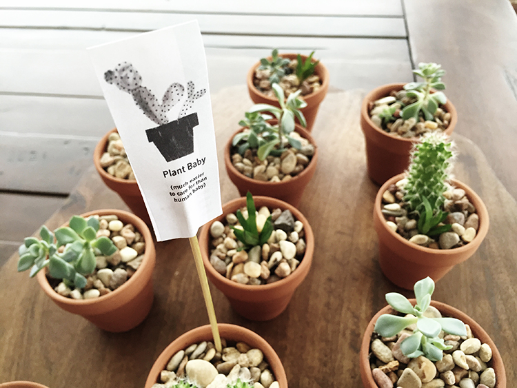 Succulent Favors-One Little Minute Blog5