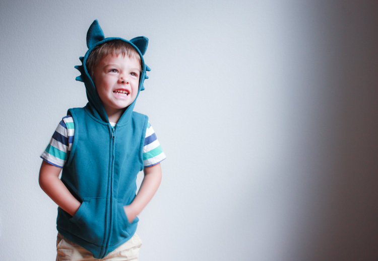 Animal hoodies with store ears for toddlers