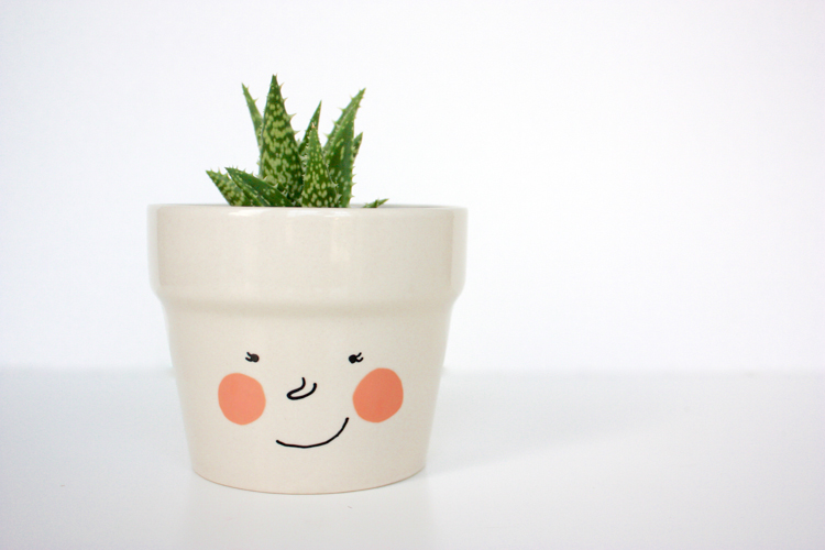 DIY Face Plant Pot -One Little Minute Blog-4