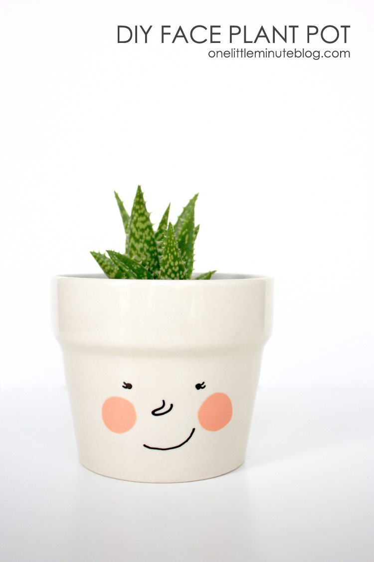 DIY Face Plant Pot -One Little Minute Blog-6