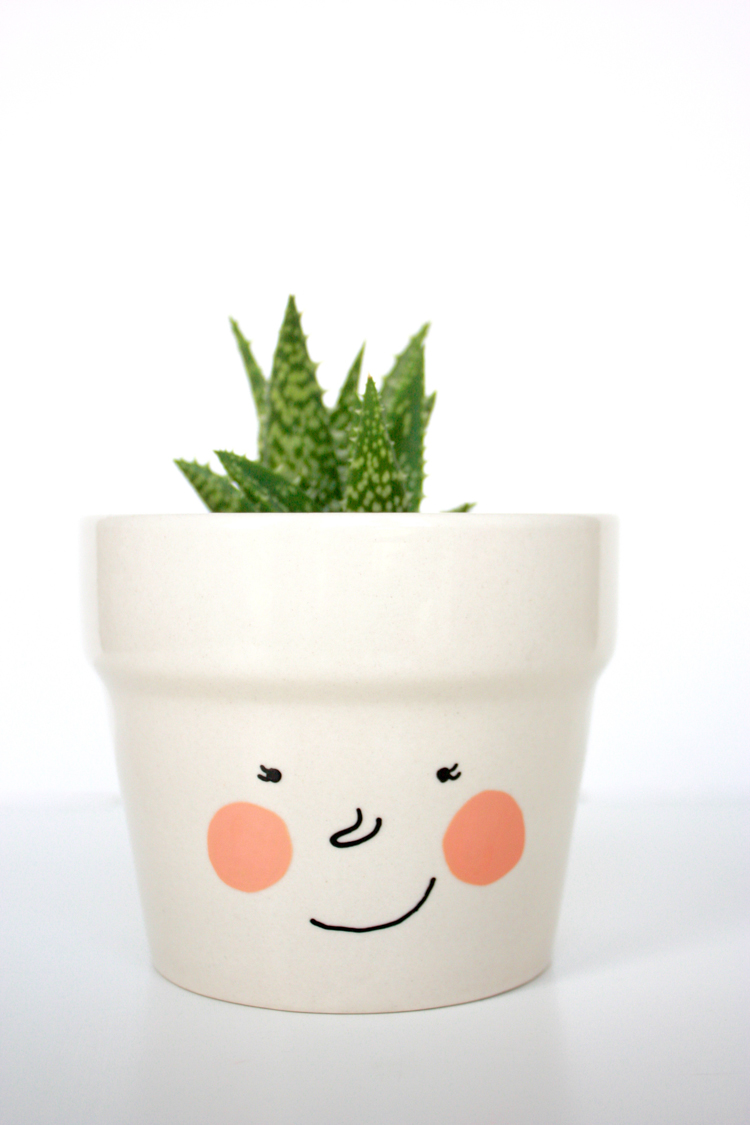 DIY Face Plant Pot -One Little Minute Blog-7