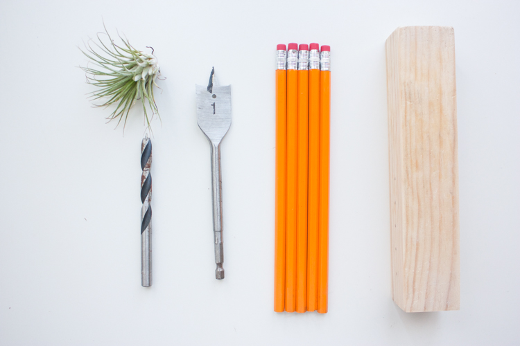 Wooden Air Plant + Pencil Holder DIY-101