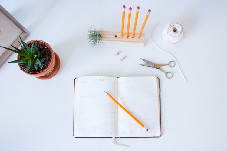 Wooden Air Plant + Pencil Holder DIY-103