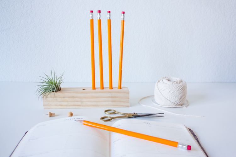 Wooden Air Plant + Pencil Holder DIY-104