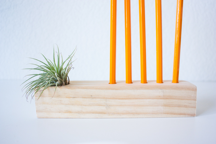 Wooden Air Plant + Pencil Holder DIY-105