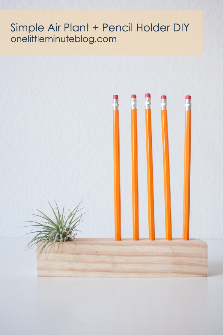 Wooden Air Plant + Pencil Holder DIY-49