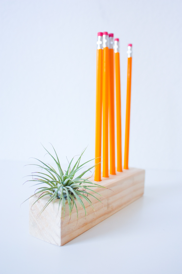 Wooden Air Plant + Pencil Holder DIY-53