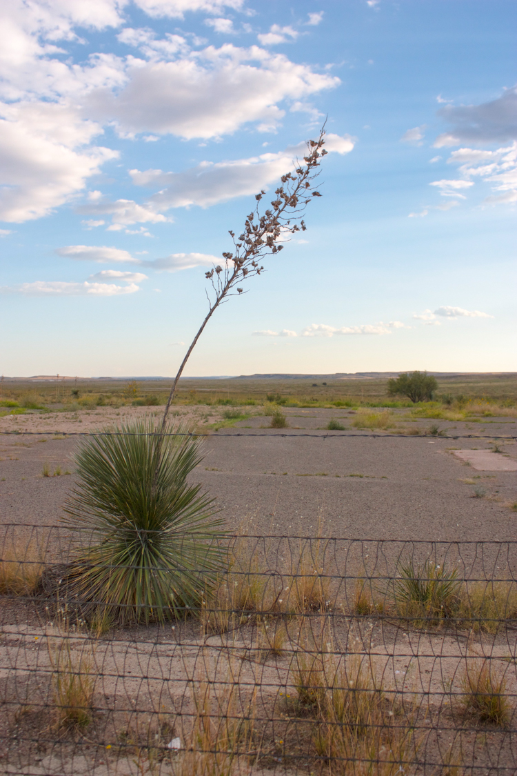 Marfa, TX-One Little Minute Blog-68