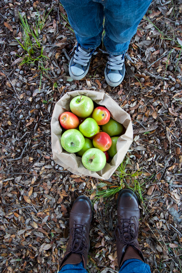 Easy As Caramel Apple Pie-One Little Minute Blog-10-2