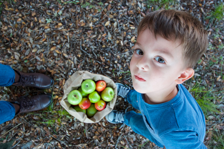 Easy As Caramel Apple Pie-One Little Minute Blog-3