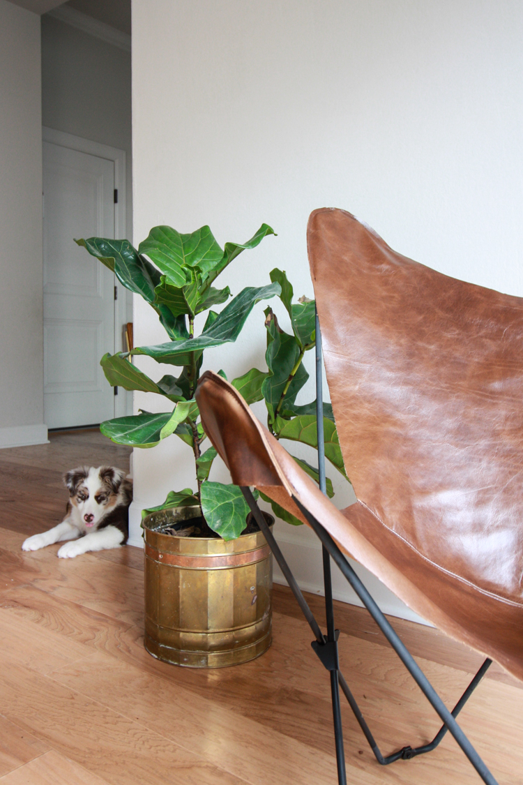 Leather Butterfly Chair Cover DIY- One Little Minute Blog-22