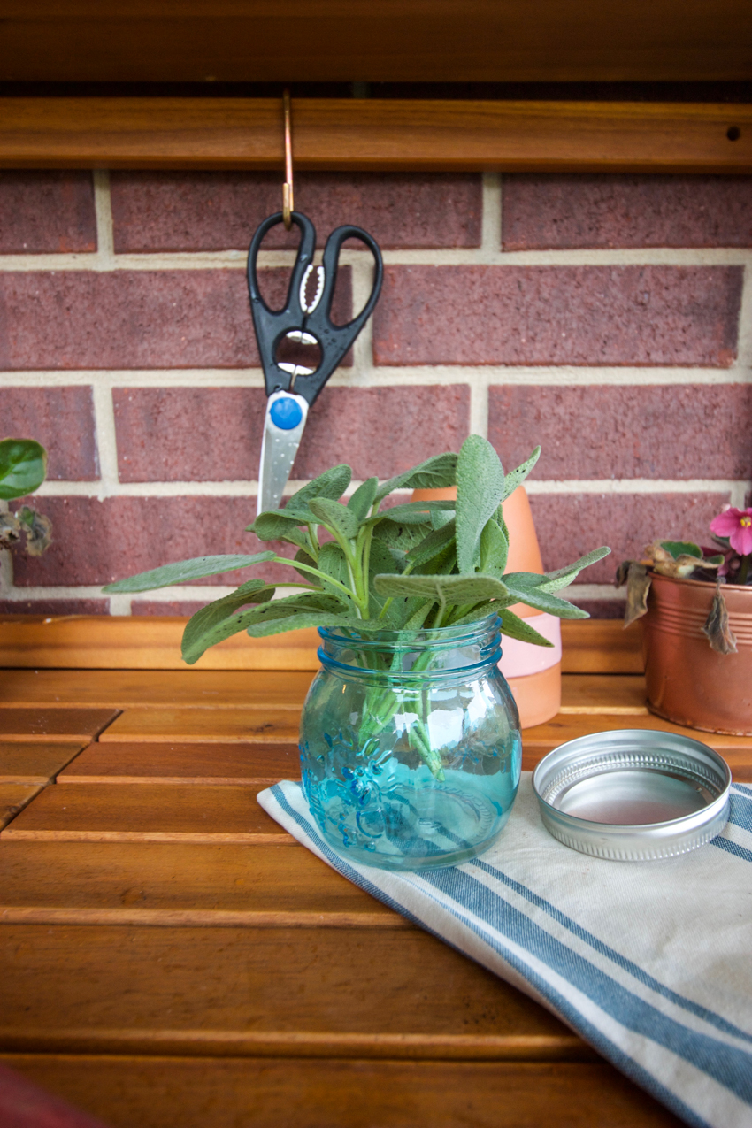 World Market Herb Scissors