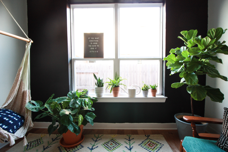 Houseplants 101 - One Little Minute Blog-11