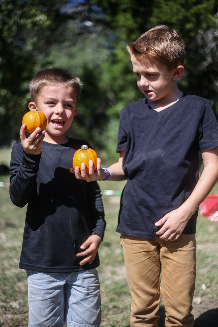 jellystone-park-family-adventure-16