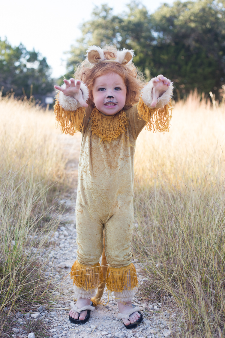 diy lion costume