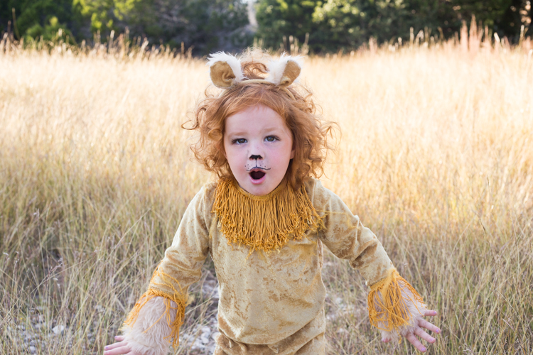 homemade lion halloween costume