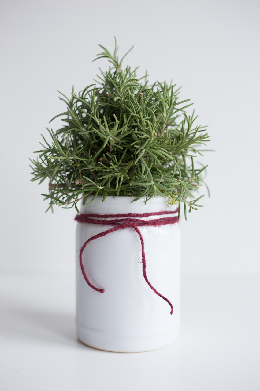 rosemary-christmas-tree-diy-1