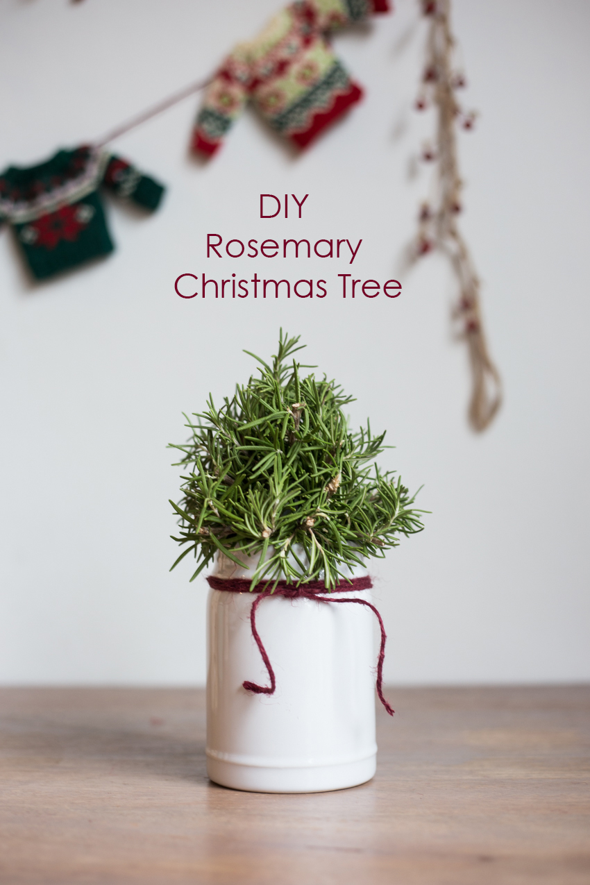 rosemary-christmas-tree-diy-5