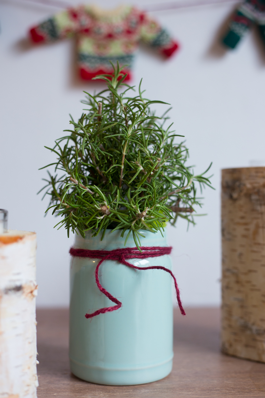 rosemary-christmas-tree-diy-7