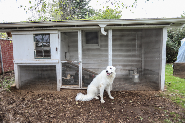 vintage-eclectic-portland-bungalow-37