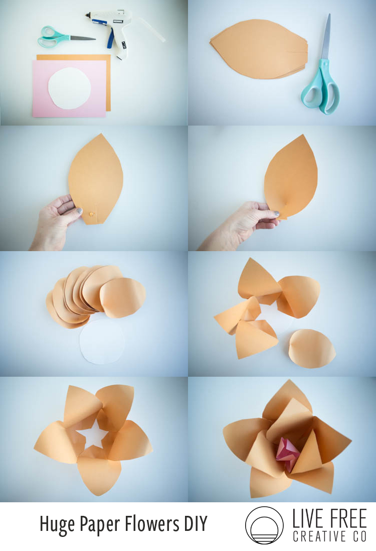 Paper Huge Paper Flowers Diy Live Free Creative Co