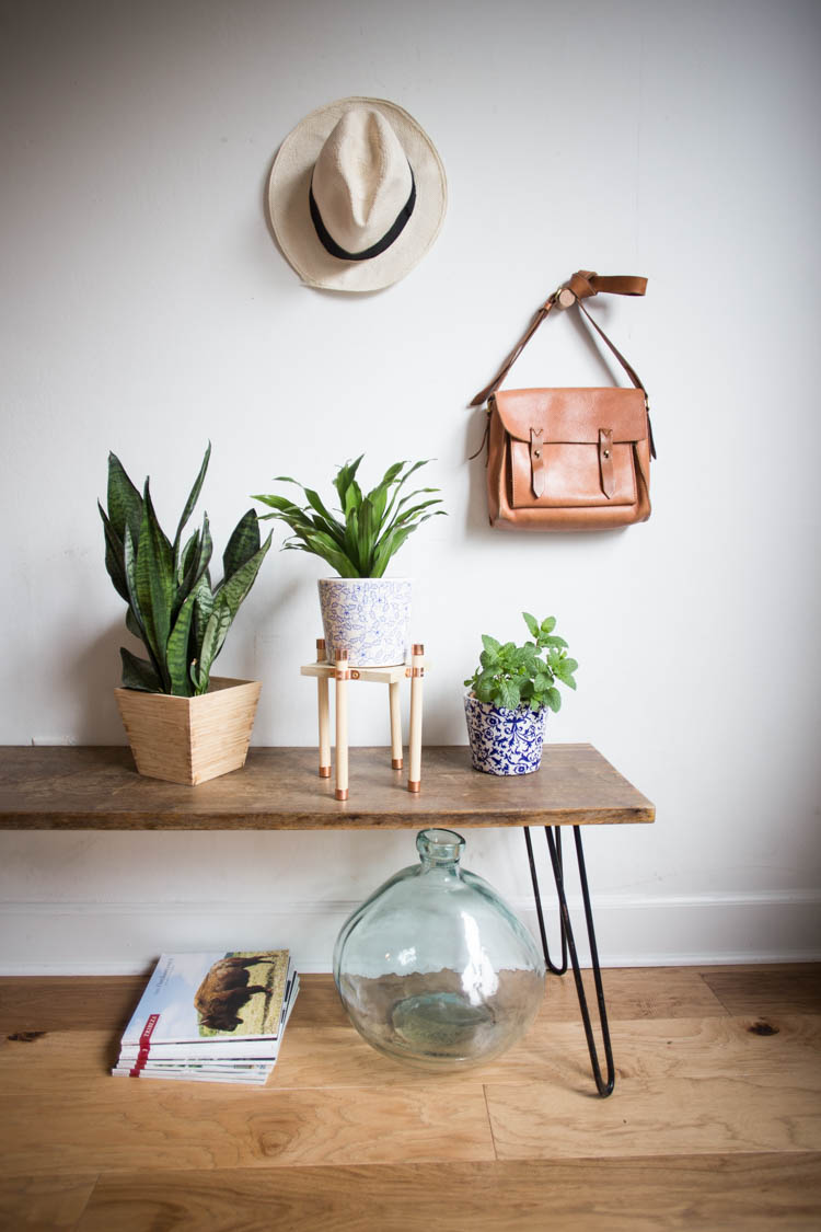 plant table wood