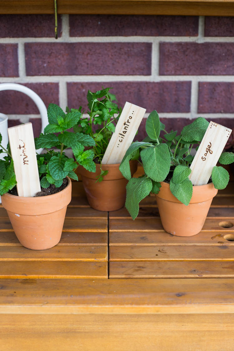 Wood Burned Garden Markers