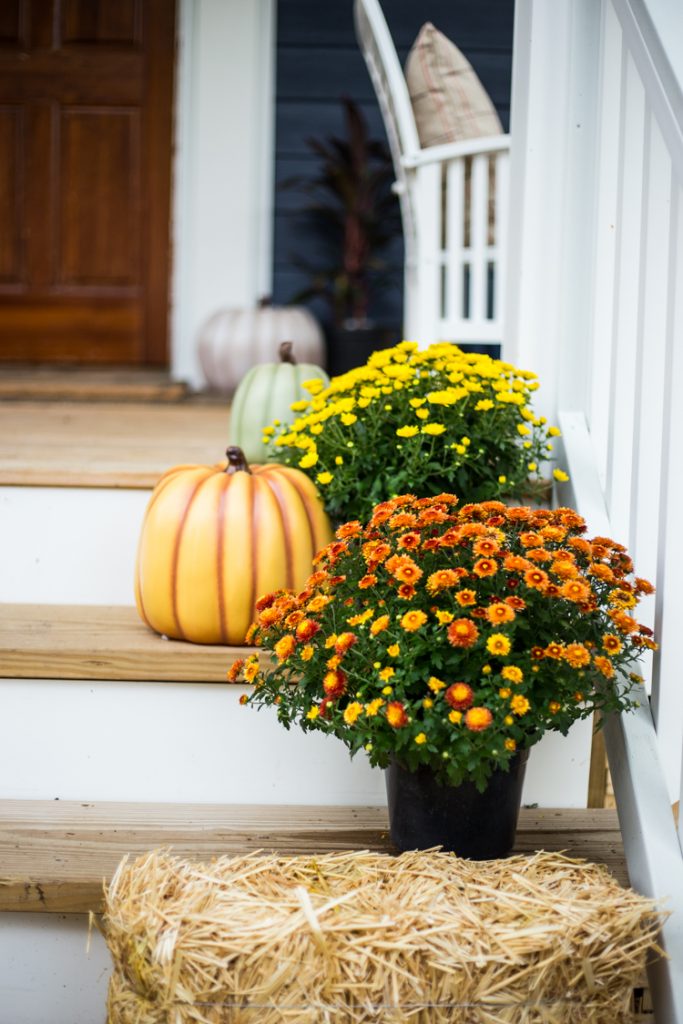 Fall Decor With Hay Bales, Pumpkins & Many More 