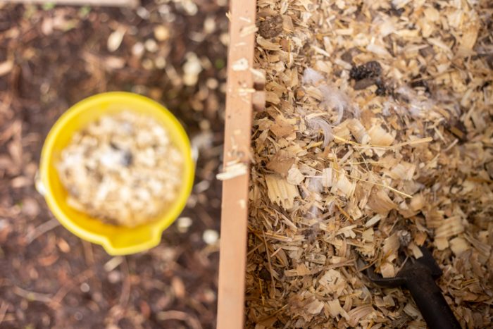 DIY Compost Bin + Backyard Composting 101 - Live Free Creative Co