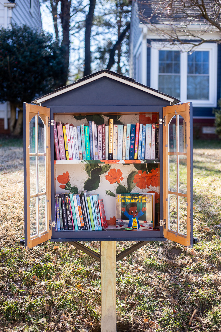 Diy Little Free Library Live